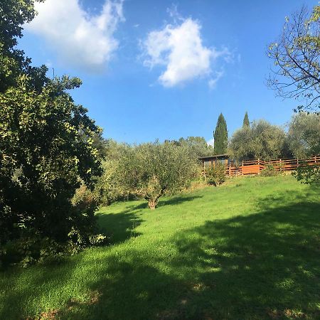 Madonnella Agricola Villa Cesano Luaran gambar