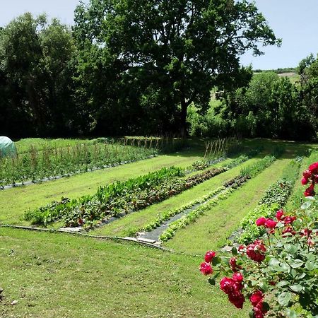Madonnella Agricola Villa Cesano Luaran gambar
