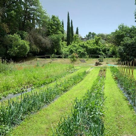 Madonnella Agricola Villa Cesano Luaran gambar