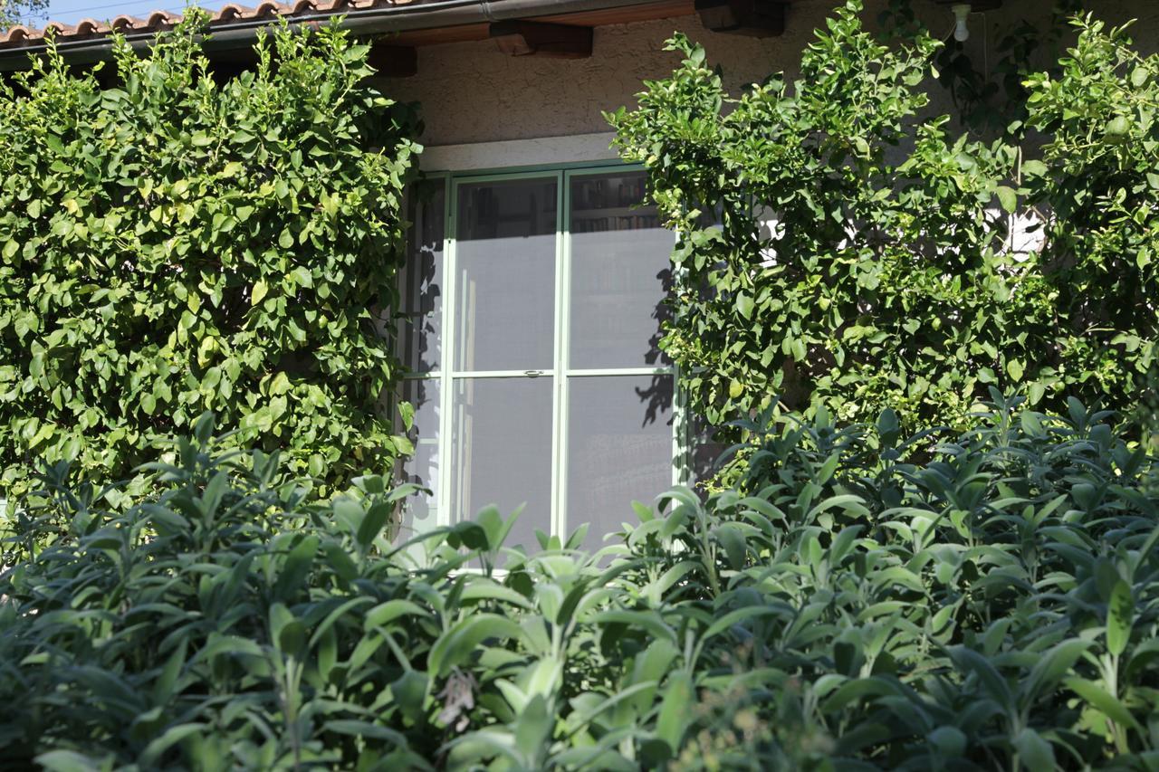 Madonnella Agricola Villa Cesano Luaran gambar