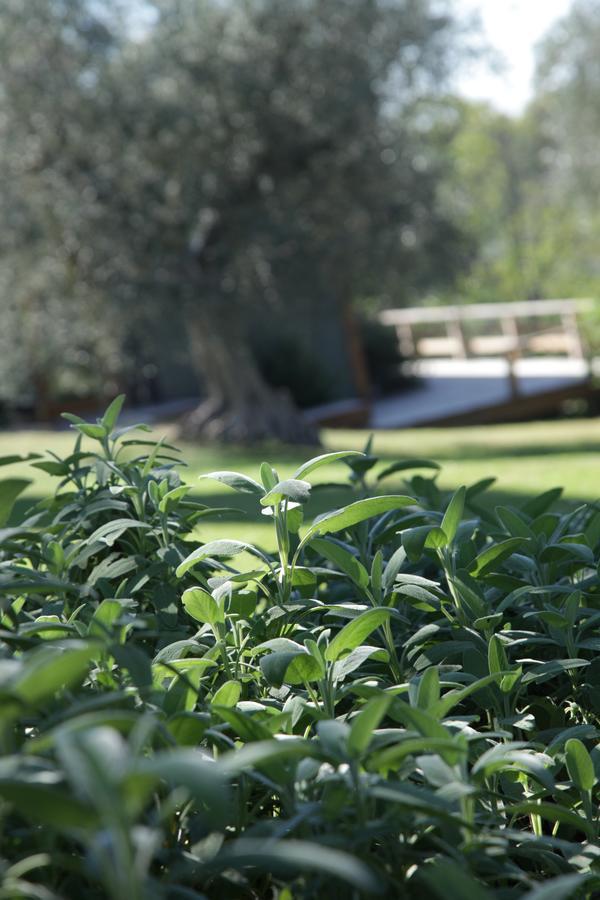 Madonnella Agricola Villa Cesano Luaran gambar