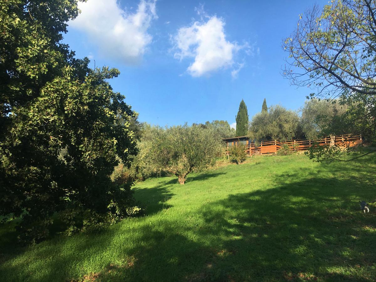 Madonnella Agricola Villa Cesano Luaran gambar