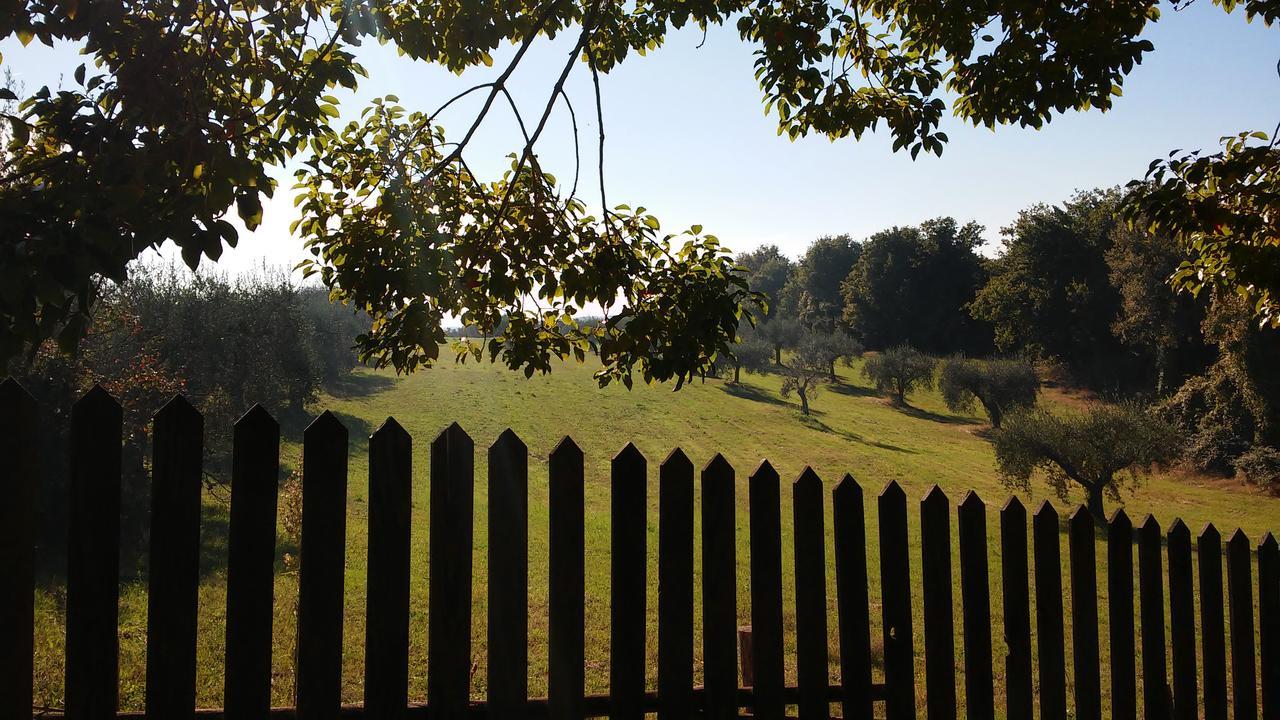 Madonnella Agricola Villa Cesano Luaran gambar