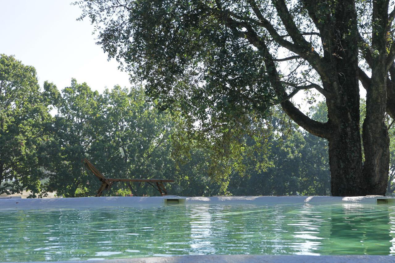 Madonnella Agricola Villa Cesano Luaran gambar