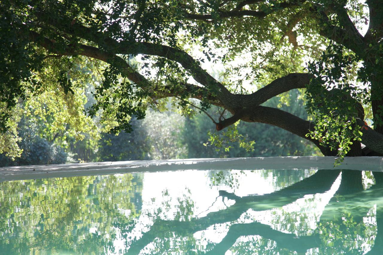 Madonnella Agricola Villa Cesano Luaran gambar