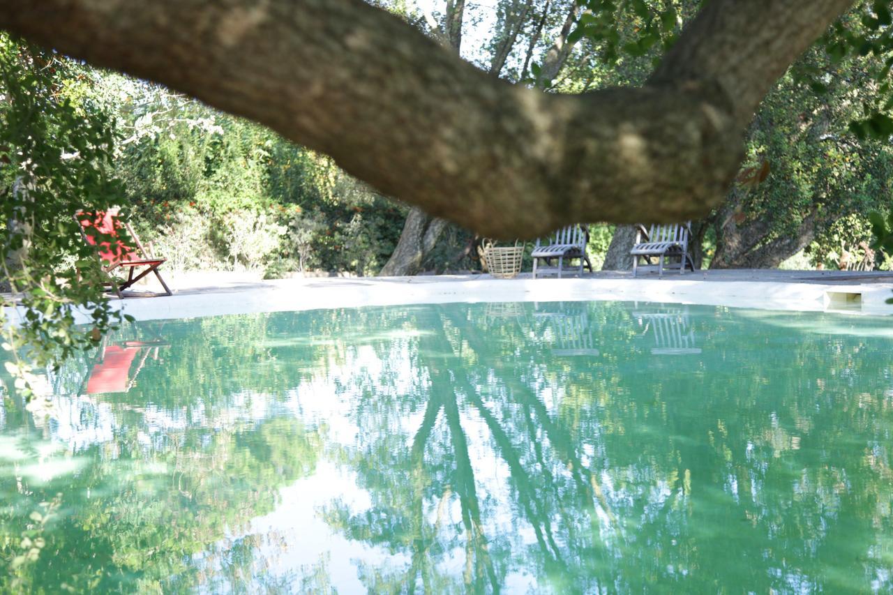 Madonnella Agricola Villa Cesano Luaran gambar