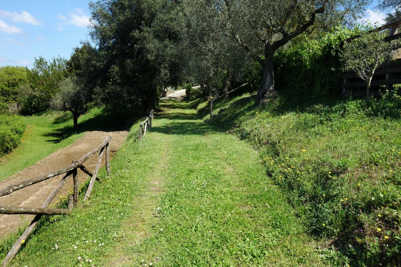 Madonnella Agricola Villa Cesano Luaran gambar