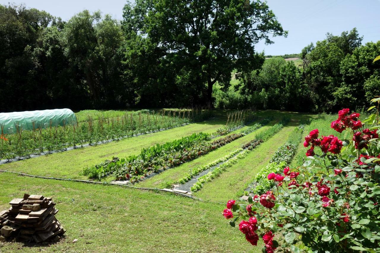Madonnella Agricola Villa Cesano Luaran gambar